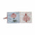 Tuotteen Pehmokirja Little Dutch Flowers &amp; Butterflies pikkukuva 2