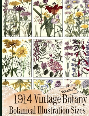 Valokuva kirjasta C. Anders 1914 Vintage Botany Botanical Illustration Sizes, kuuluu tuoteryhmään Ulk taide musiikki.