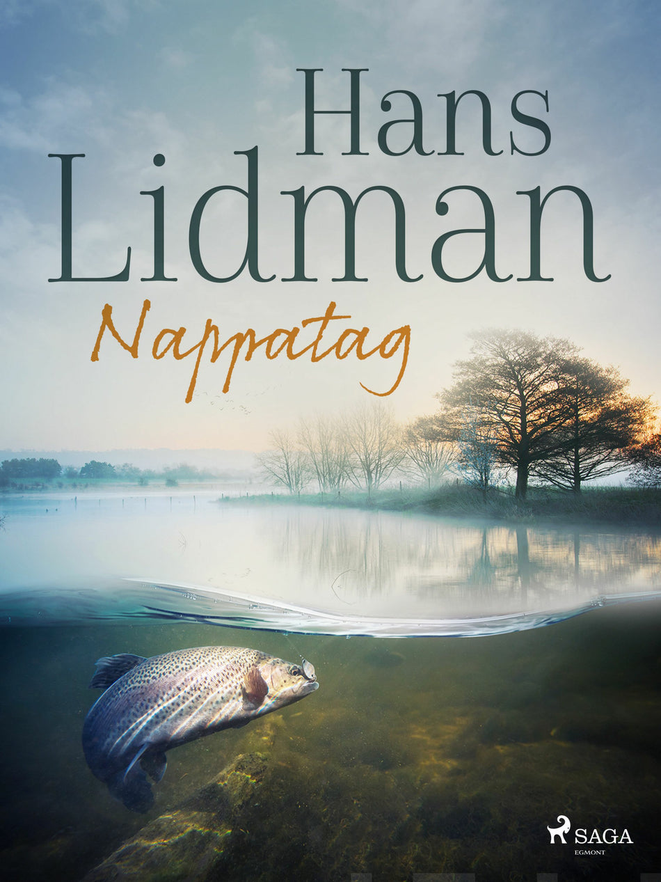 Valokuva kirjasta Hans Lidman Nappatag, kuuluu tuoteryhmään E-kirjat tieto.