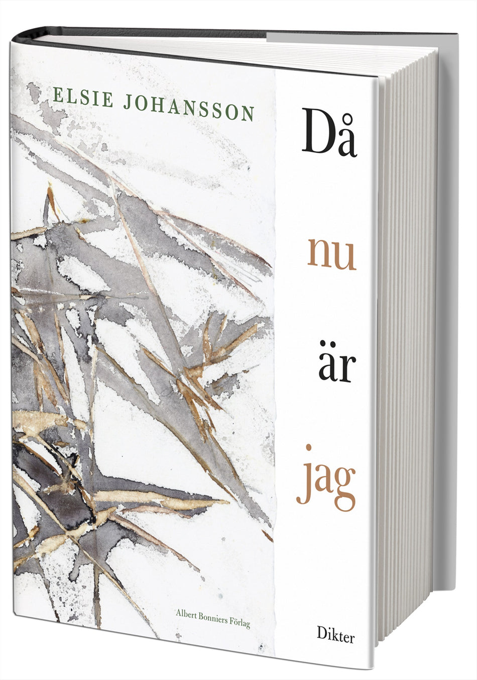Valokuva kirjasta Elsie Johansson Då nu är jag, kuuluu tuoteryhmään Ruots muu tieto.