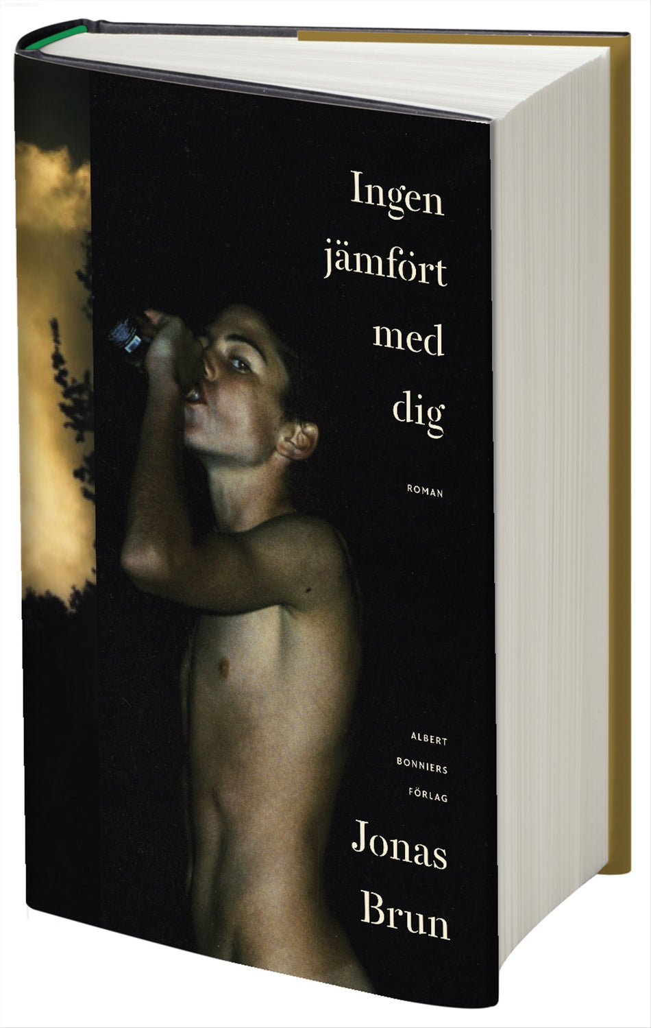 Valokuva kirjasta Jonas Brun Ingen jämfört med dig, kuuluu tuoteryhmään Ruots kaunokirjat.