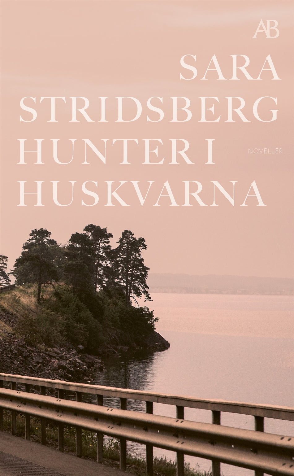 Valokuva kirjasta Sara Stridsberg Hunter i Huskvarna, kuuluu tuoteryhmään Ruotsalaiset pokkarit.