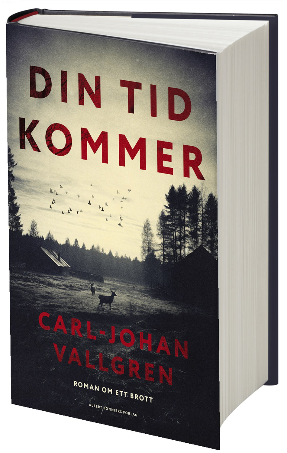 Valokuva kirjasta Carl-Johan Vallgren Din tid kommer, kuuluu tuoteryhmään Ruots kaunokirjat.