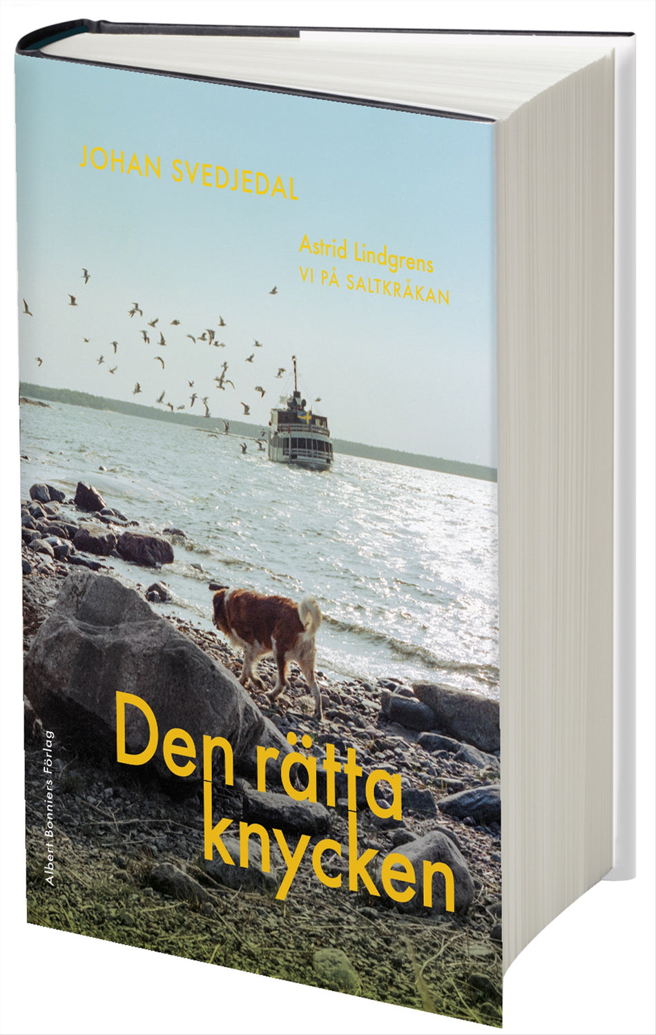 Valokuva kirjasta Johan Svedjedal Den rätta knycken : Astrid Lindgrens Vi på Saltkråkan, kuuluu tuoteryhmään Ruots muu tieto.