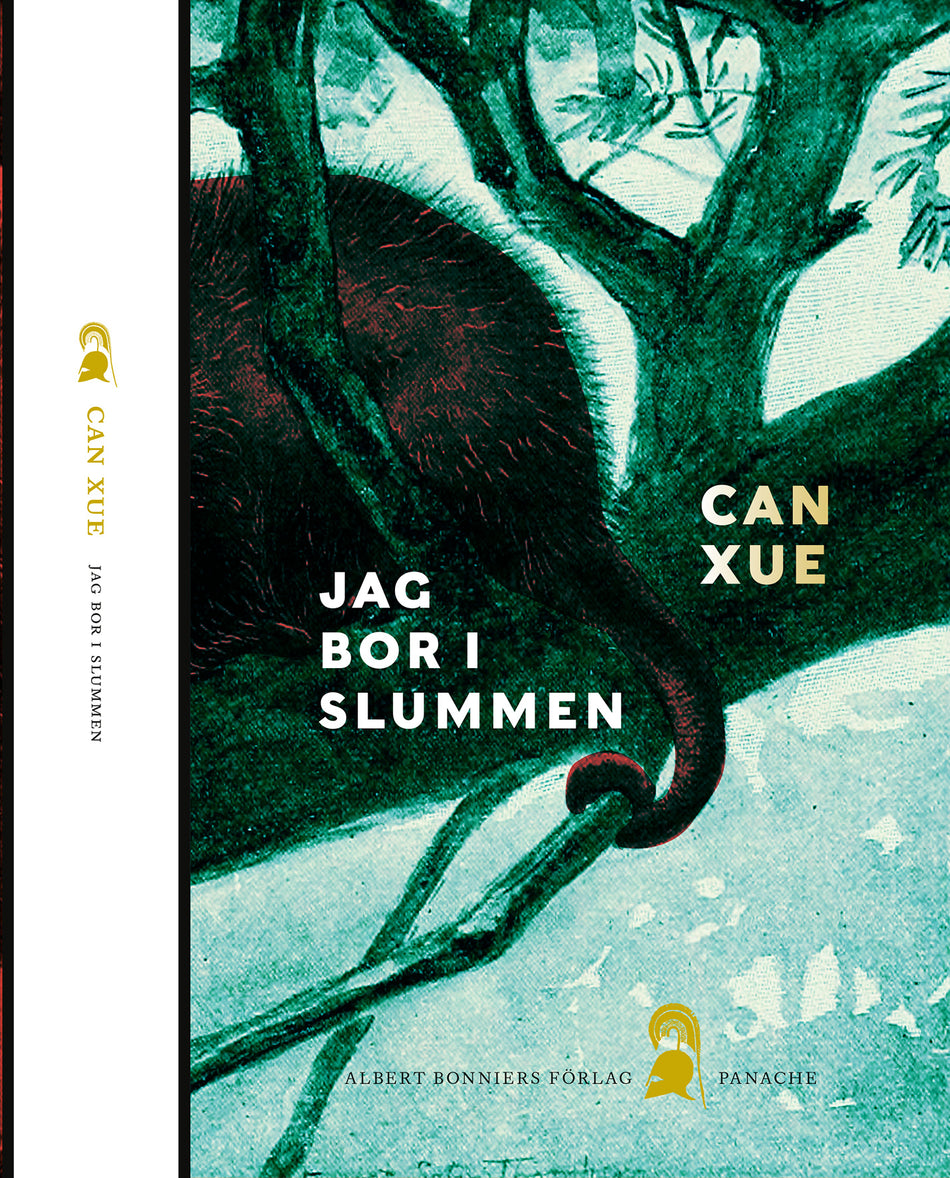 Valokuva kirjasta Can Xue Jag bor i slummen, kuuluu tuoteryhmään Ruots kaunokirjat.