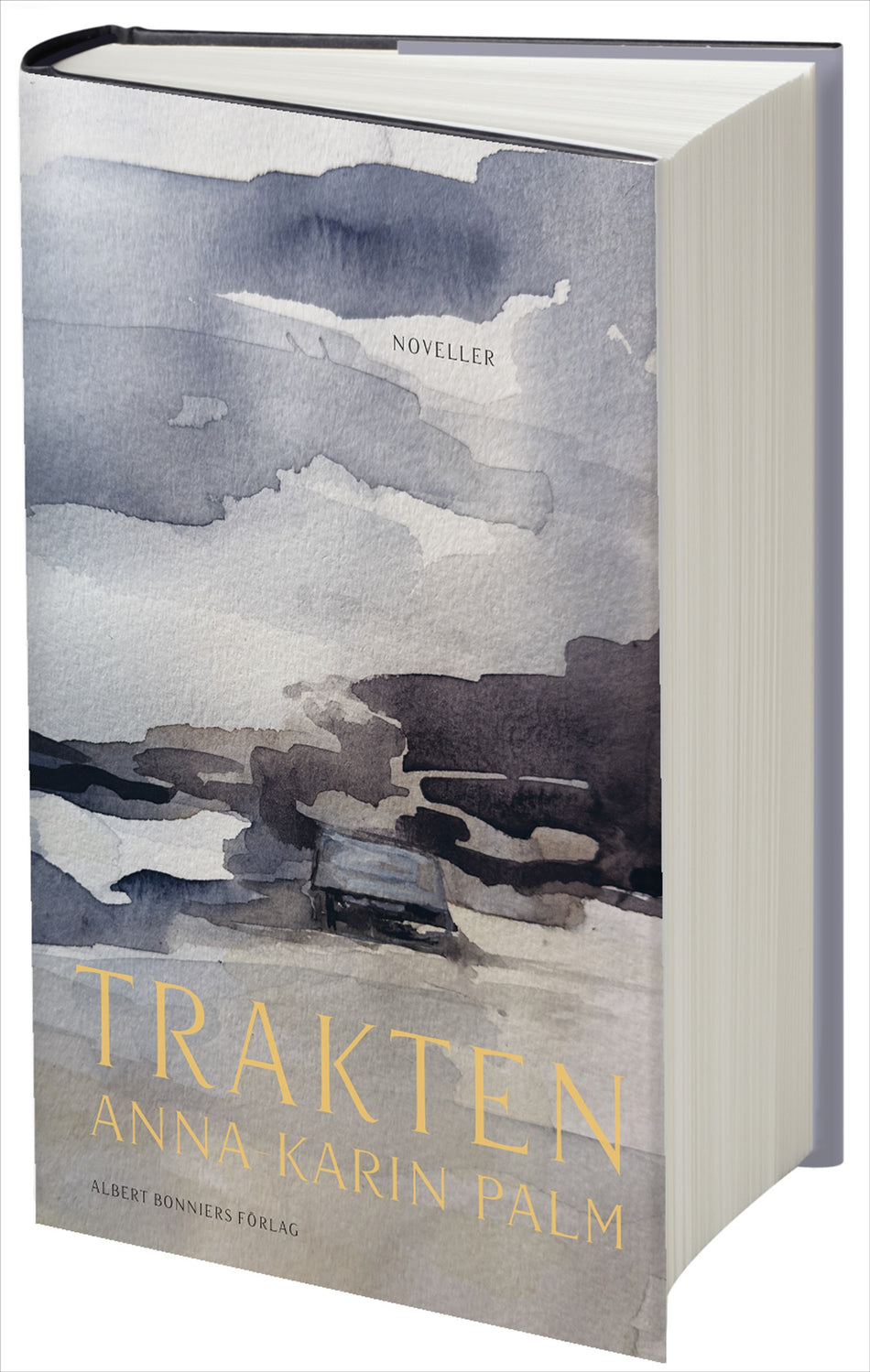 Valokuva kirjasta Anna-Karin Palm Trakten, kuuluu tuoteryhmään Ruots kaunokirjat.