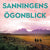 Tuotteen Sanningens ögonblick pikkukuva 1
