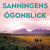 Tuotteen Sanningens ögonblick pikkukuva 2