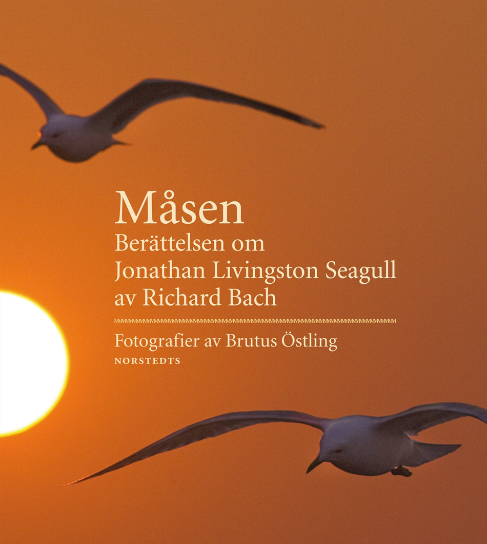 Valokuva kirjasta Richard Bach Måsen : berättelsen om Jonathan Livingston Seagull, kuuluu tuoteryhmään Ruots kaunokirjat.
