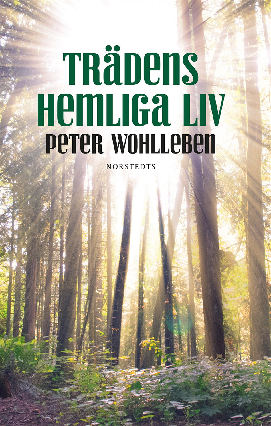 Valokuva kirjasta Peter Wohlleben Trädens hemliga liv, kuuluu tuoteryhmään Ruots harrasteet taide.