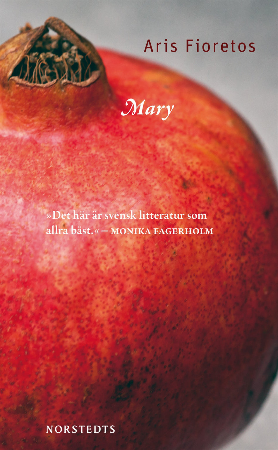 Valokuva kirjasta Aris Fioretos Mary, kuuluu tuoteryhmään Ruots kaunokirjat.
