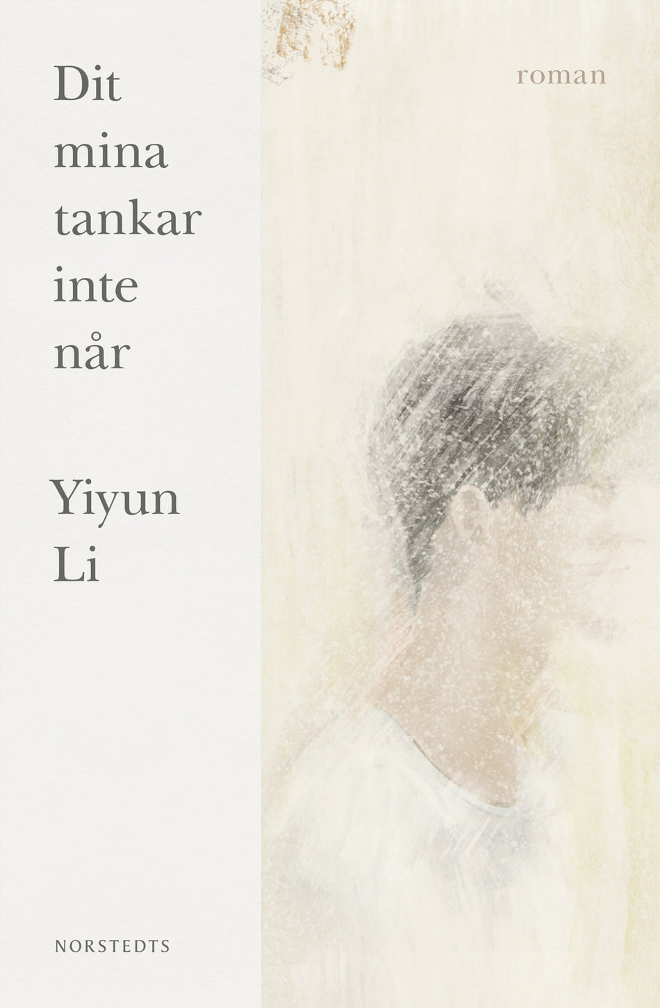 Valokuva kirjasta Yiyun Li Dit mina tankar inte når, kuuluu tuoteryhmään Ruots kaunokirjat.