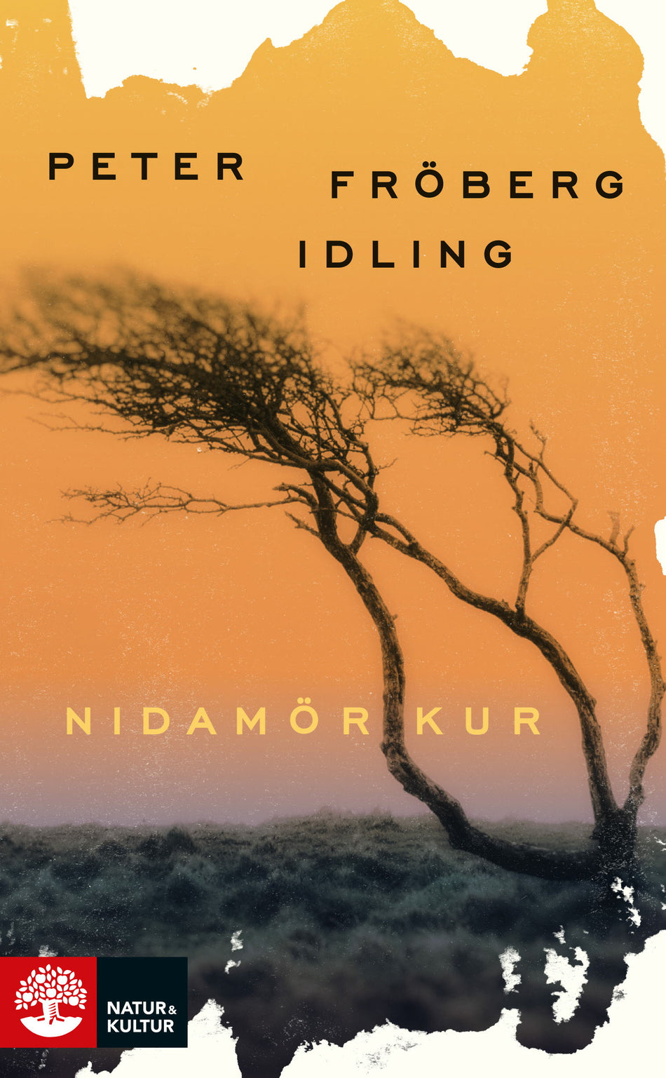 Valokuva kirjasta Peter Fröberg Idling Nidamörkur, kuuluu tuoteryhmään Ruots kaunokirjat.