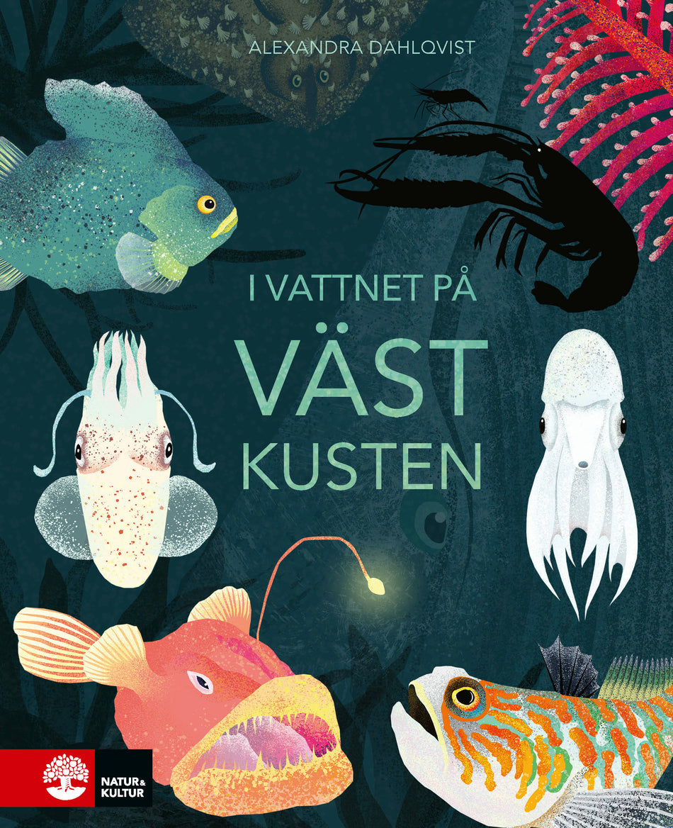 Valokuva kirjasta Alexandra Dahlqvist I vattnet på västkusten, kuuluu tuoteryhmään Ruots lapset nuoret ja sarjakuvat.