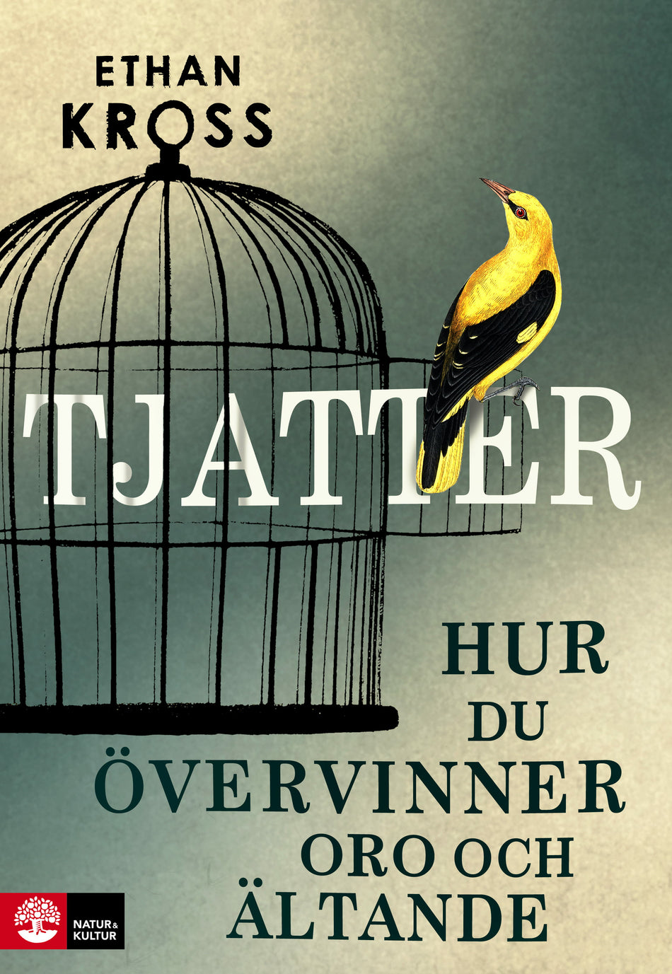 Valokuva kirjasta Ethan Kross Tjatter : hur du övervinner oro och ältande, kuuluu tuoteryhmään Ruots muu tieto.