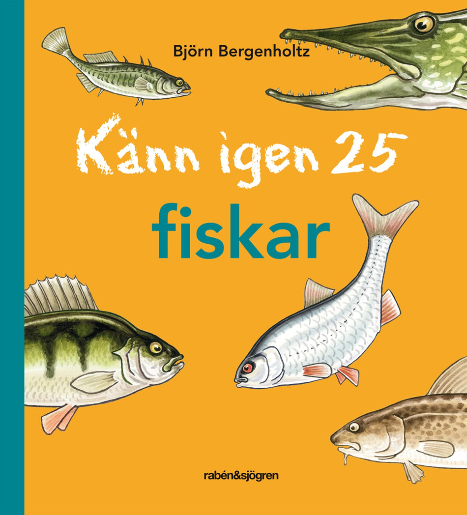 Valokuva kirjasta Björn Bergenholtz Känn igen 25 fiskar, kuuluu tuoteryhmään Ruots lapset nuoret ja sarjakuvat.