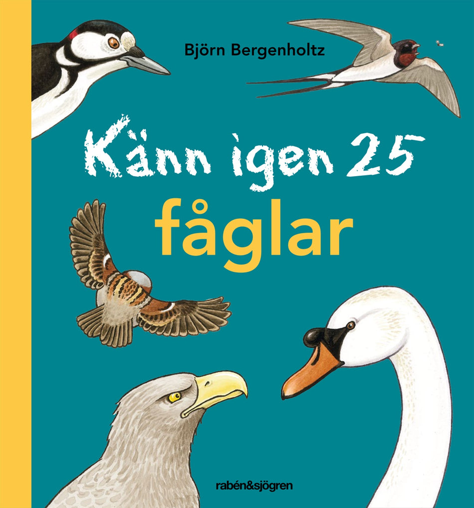 Valokuva kirjasta Björn Bergenholtz Känn igen 25 fåglar, kuuluu tuoteryhmään Ruots lapset nuoret ja sarjakuvat.