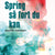 Tuotteen Spring så fort du kan pikkukuva 1