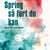 Tuotteen Spring så fort du kan pikkukuva 2