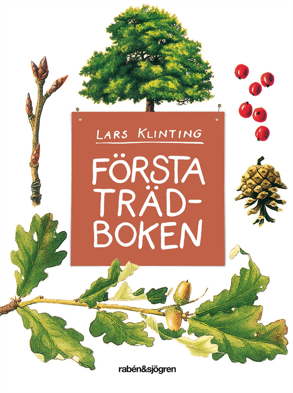 Valokuva kirjasta Lars Klinting Första trädboken, kuuluu tuoteryhmään Ruots lapset nuoret ja sarjakuvat.