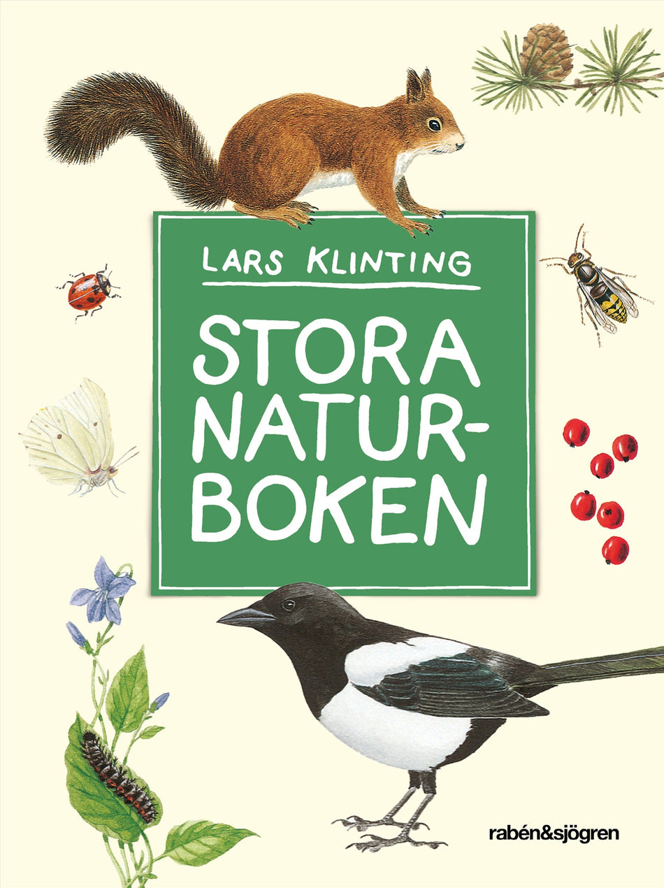 Valokuva kirjasta Lars Klinting Stora naturboken, kuuluu tuoteryhmään Ruots lapset nuoret ja sarjakuvat.