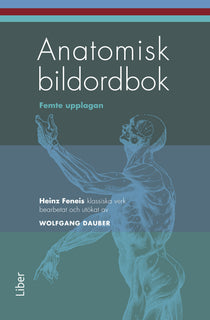 Anatomisk bildordbok