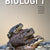 Tuotteen Biologi 1 pikkukuva 3