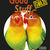 Tuotteen Good Stuff Gold C Workbook pikkukuva 1