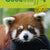 Tuotteen Good Stuff GOLD 4 Textbook pikkukuva 2