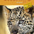 Tuotteen Good Stuff GOLD 5 Textbook pikkukuva 1