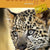 Tuotteen Good Stuff GOLD 5 Textbook pikkukuva 3