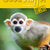Tuotteen Good Stuff GOLD A Textbook pikkukuva 1
