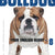 Tuotteen Bulldog - Your English Buddy 8 pikkukuva 2