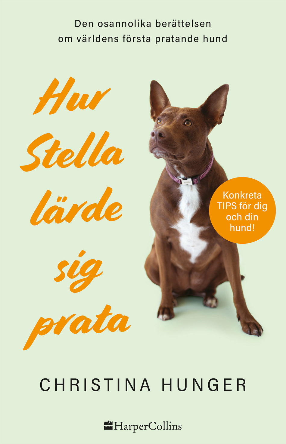 Valokuva kirjasta Christina Hunger Hur Stella lärde sig prata, kuuluu tuoteryhmään Ruots harrasteet taide.