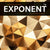 Tuotteen Exponent 1a, 2:a upplagan pikkukuva 1