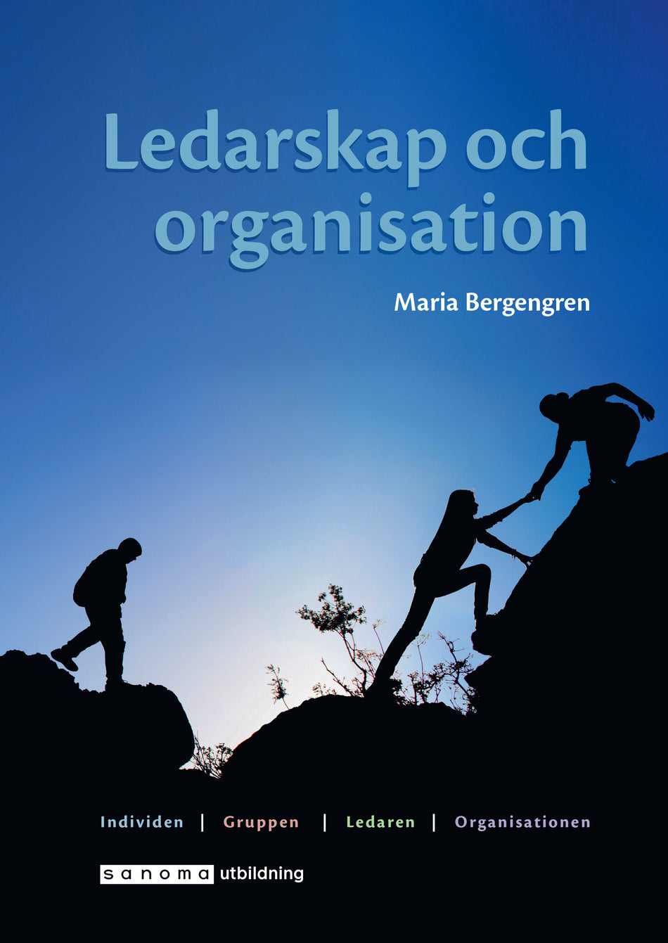 Valokuva kirjasta Maria Bergengren Ledarskap och organisation, kuuluu tuoteryhmään Ruots muu tieto.
