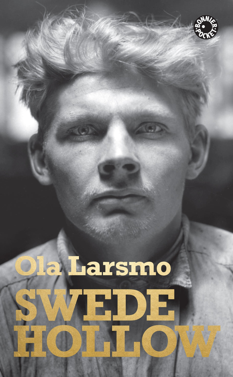 Valokuva kirjasta Ola Larsmo Swede Hollow, kuuluu tuoteryhmään Ruots kaunokirjat.