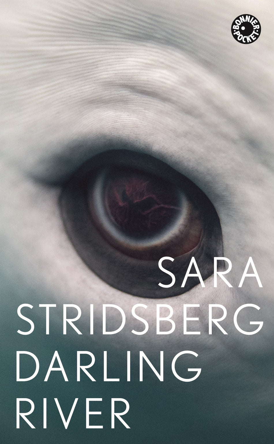Valokuva kirjasta Sara Stridsberg Darling River, kuuluu tuoteryhmään Ruots kaunokirjat.