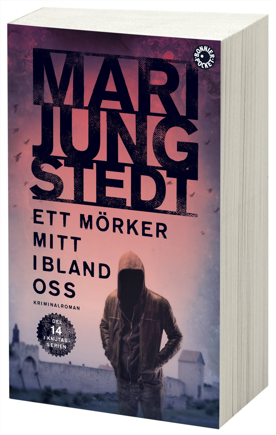 Valokuva kirjasta Mari Jungstedt Ett mörker mitt ibland oss, kuuluu tuoteryhmään Ruots kaunokirjat.