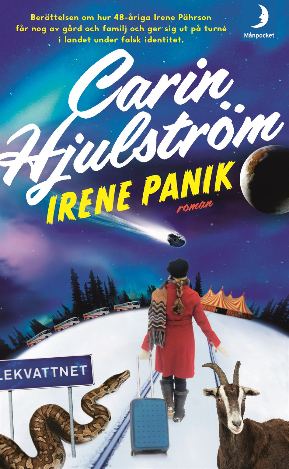 Valokuva kirjasta Carin Hjulström Irene Panik, kuuluu tuoteryhmään Ruots kaunokirjat.