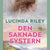 Tuotteen Den saknade systern (lättläst) pikkukuva 1