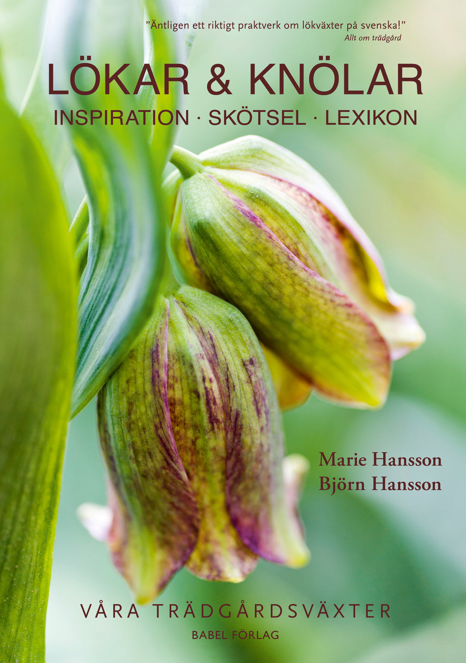 Valokuva kirjasta Marie Hansson / Björn Hansson Lökar &amp; knölar : inspiration, skötsel, lexikon, kuuluu tuoteryhmään Ruots harrasteet taide.