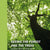 Tuotteen Seeing the Forest and the Trees pikkukuva 2