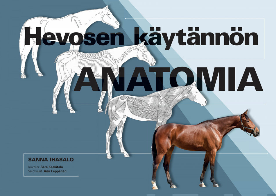 Valokuva kirjasta  Hevosen käytännön anatomia, kuuluu tuoteryhmään Luonto.