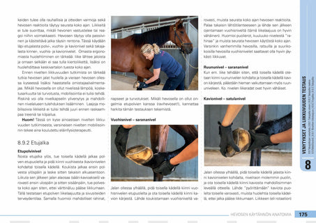 Hevosen käytännön anatomia