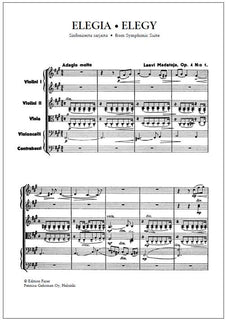 Elegy for string orchestra - Score & parts (33221)