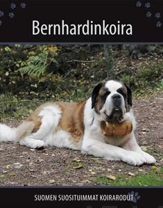 Valokuva kirjasta  Bernhardinkoira, kuuluu tuoteryhmään Luonto.
