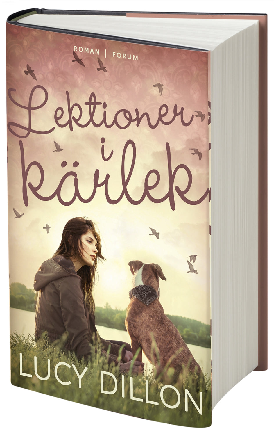 Valokuva kirjasta Lucy Dillon Lektioner i kärlek, kuuluu tuoteryhmään Ruots kaunokirjat.