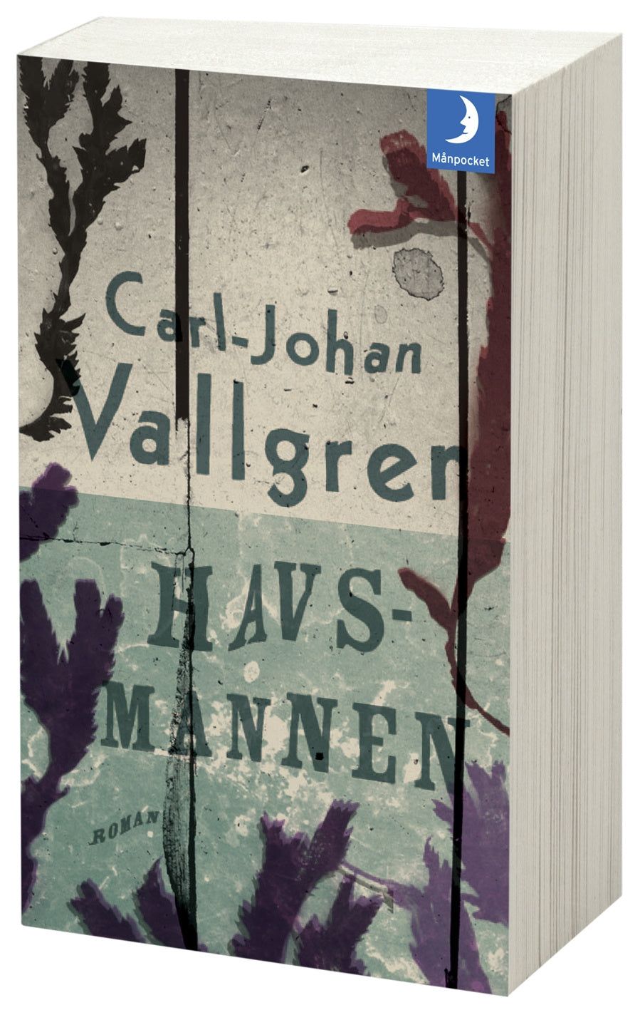 Valokuva kirjasta Carl-Johan Vallgren Havsmannen, kuuluu tuoteryhmään Ruots kaunokirjat.