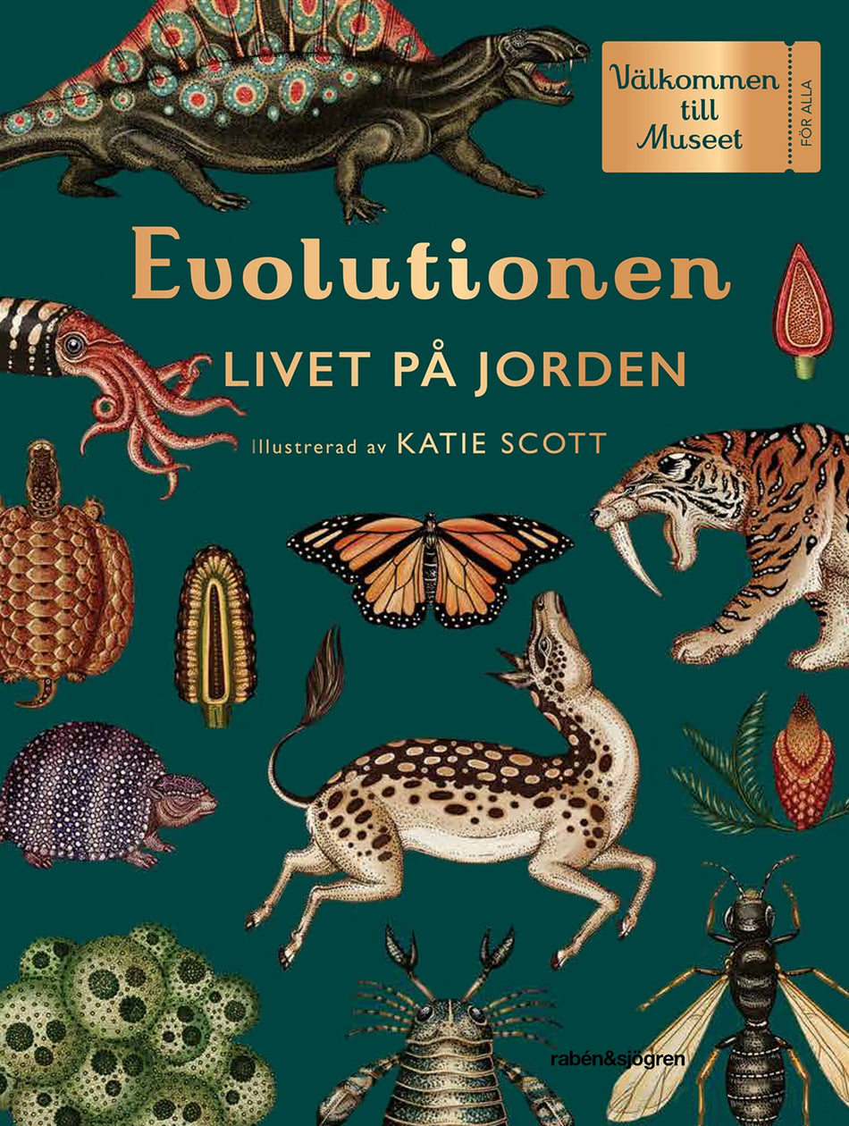 Valokuva kirjasta Fiona Munro / Ruth Symons Evolutionen : livet på jorden, kuuluu tuoteryhmään Ruots lapset nuoret ja sarjakuvat.
